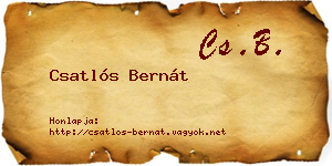Csatlós Bernát névjegykártya